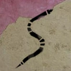 Vipers.png