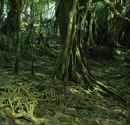 root.png