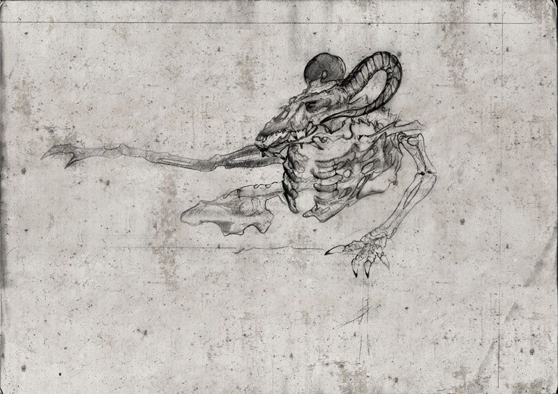 bone.jpg