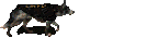 afaf496c5be32b515088a8fc394b4523.gif