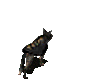 86d1d52362ed1a4c27e84257ddd6d7cd.gif