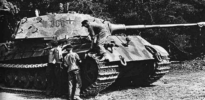 Tiger2-5.jpg