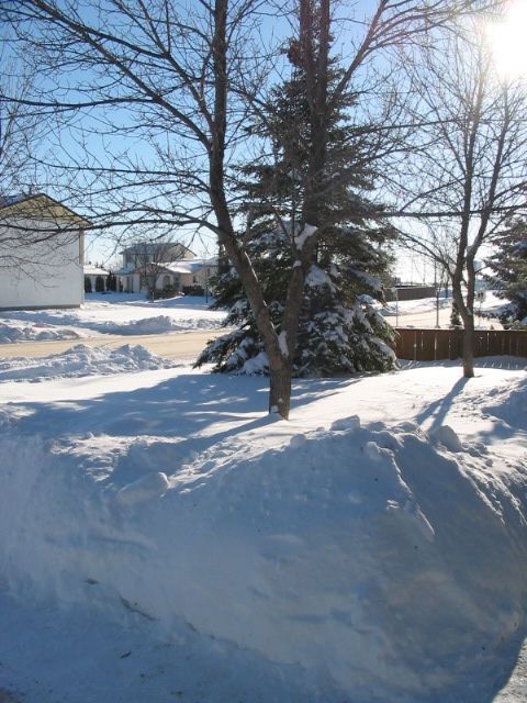 winter%20022.jpg